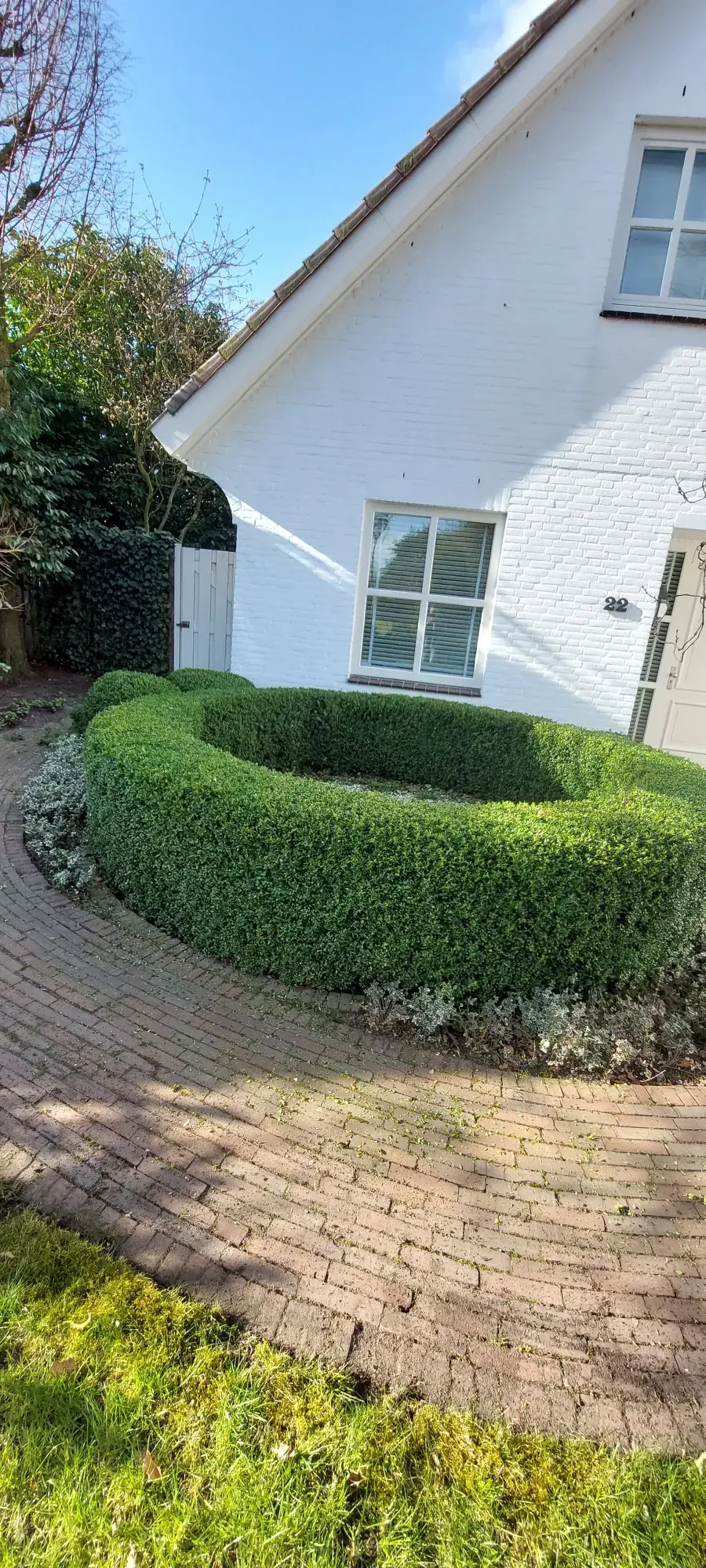 Een zorgvuldig gesnoeide haag in een eigen tuinproject