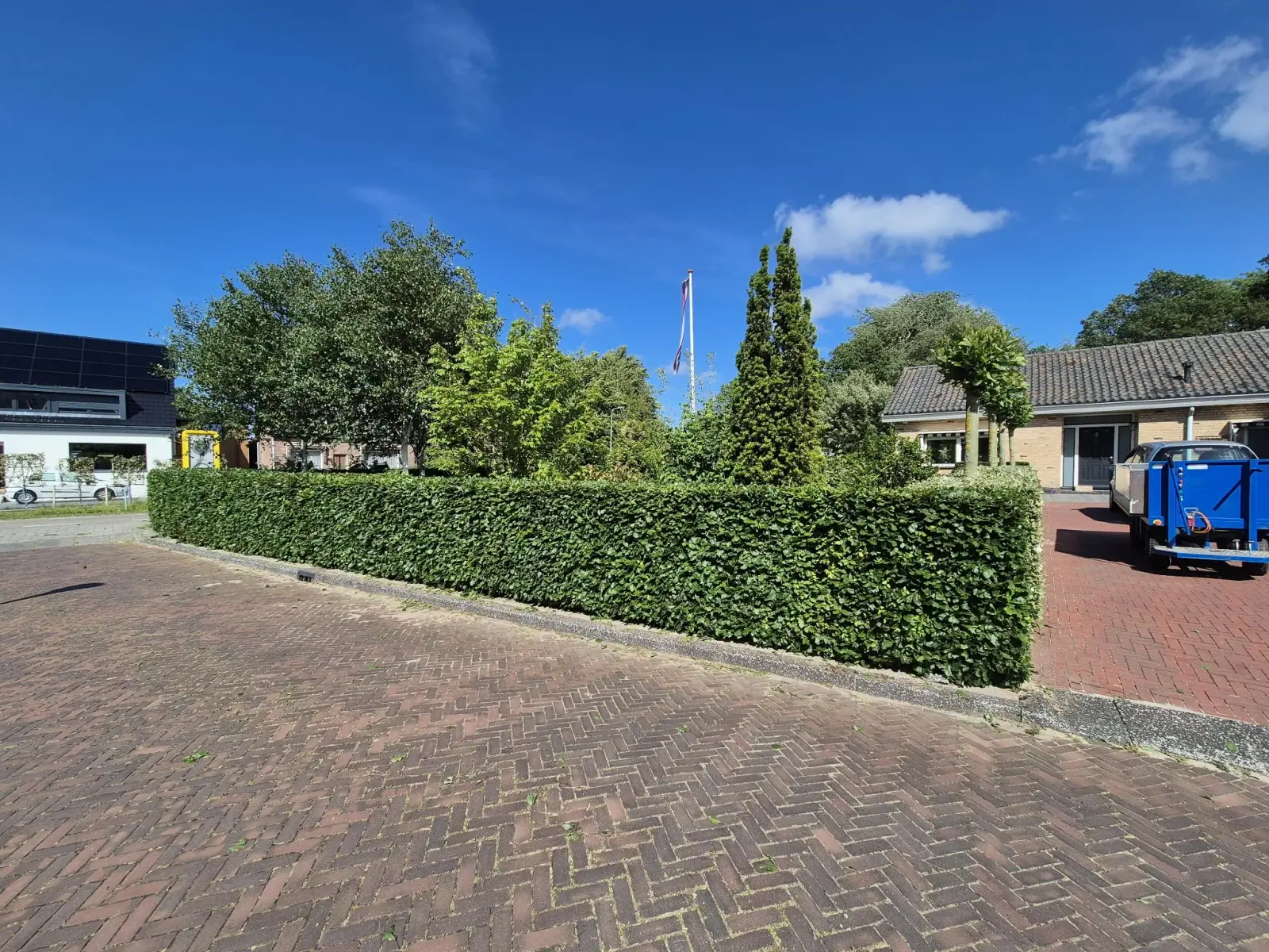 Strak gesnoeide haag langs een bestrate straat